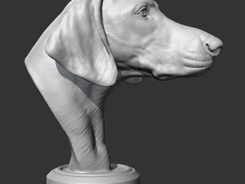 Weimaraner Head AM10 3D print model 3D Print Model
