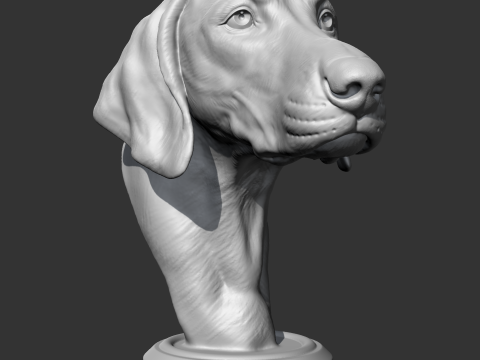 Weimaraner Head AM10 3D print model 3D Print Model