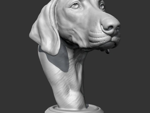 Weimaraner Head AM10 3D print model 3D Print Model