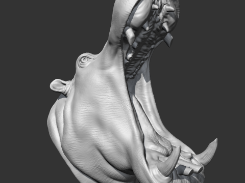 Hippo Head AM11 3D print model 3Dプリントモデル