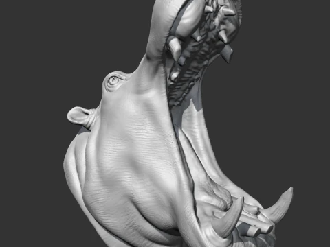 Hippo Head AM11 3D print model 3D Print Model