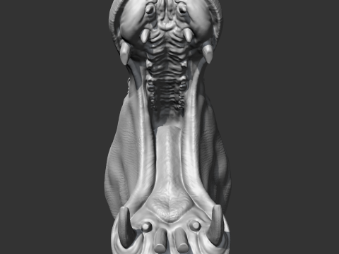 Hippo Head AM11 3D print model 3Dプリントモデル