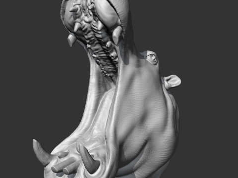 Hippo Head AM11 3D print model 3Dプリントモデル