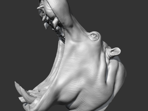 Hippo Head AM11 3D print model 3Dプリントモデル