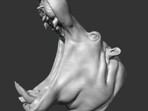 Hippo Head AM11 3D print model 3D Print Model