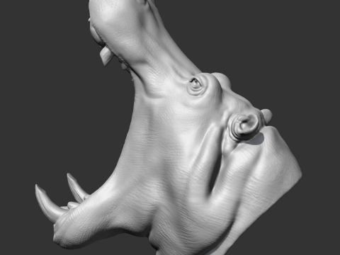 Hippo Head AM11 3D print model 3Dプリントモデル