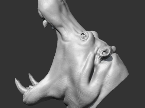 Hippo Head AM11 3D print model 3D Print Model
