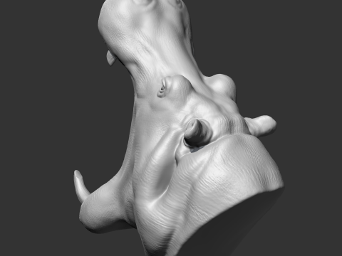 Hippo Head AM11 3D print model 3Dプリントモデル