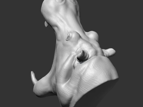 Hippo Head AM11 3D print model 3D Print Model