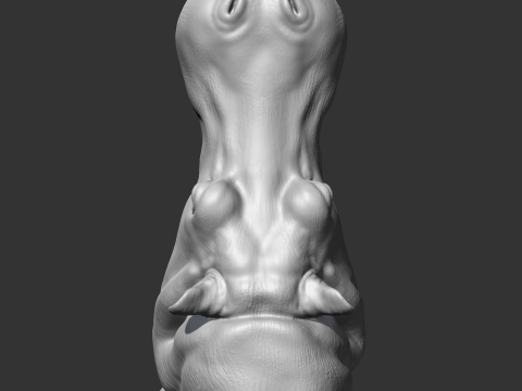 Hippo Head AM11 3D print model 3Dプリントモデル