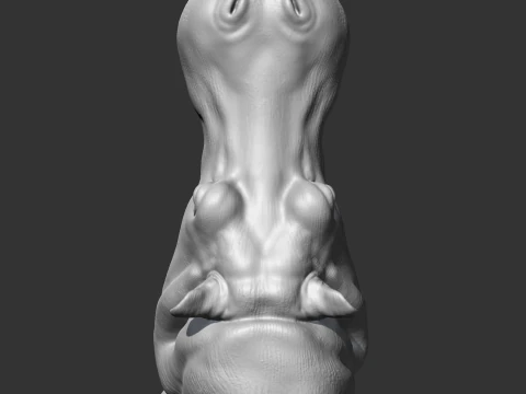 Hippo Head AM11 3D print model 3D Print Model