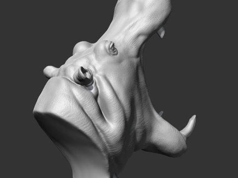 Hippo Head AM11 3D print model 3Dプリントモデル
