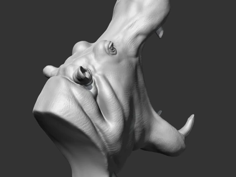 Hippo Head AM11 3D print model 3D Print Model