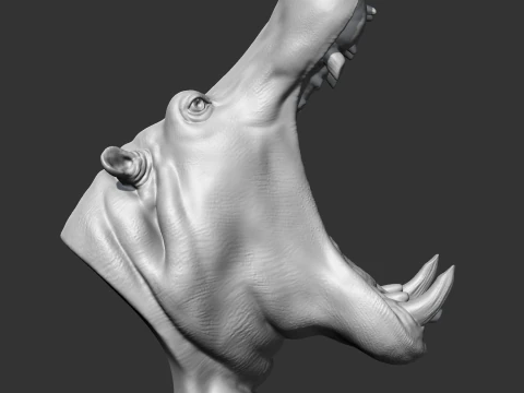 Hippo Head AM11 3D print model 3D Print Model