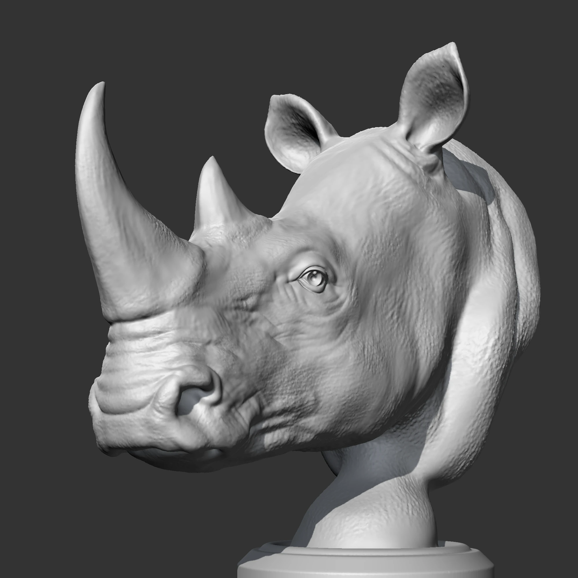 Rhino Head AM12 3D print model 3D Print Model .c4d .max .obj .3ds .fbx .stl .blend 