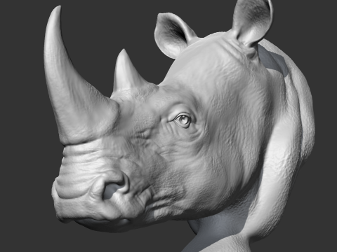 Rhino Head AM12 3D print model 3D प्रिंट मॉडल