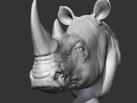 Rhino Head AM12 3D print model 3Dプリントモデル