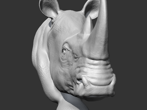 Rhino Head AM12 3D print model 3Dプリントモデル