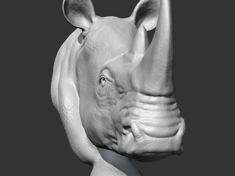 Rhino Head AM12 3D print model 3D Print Model
