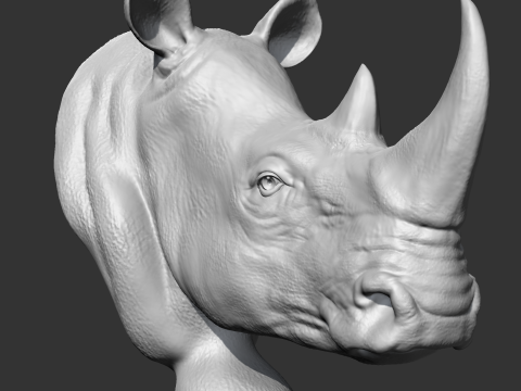 Rhino Head AM12 3D print model 3Dプリントモデル