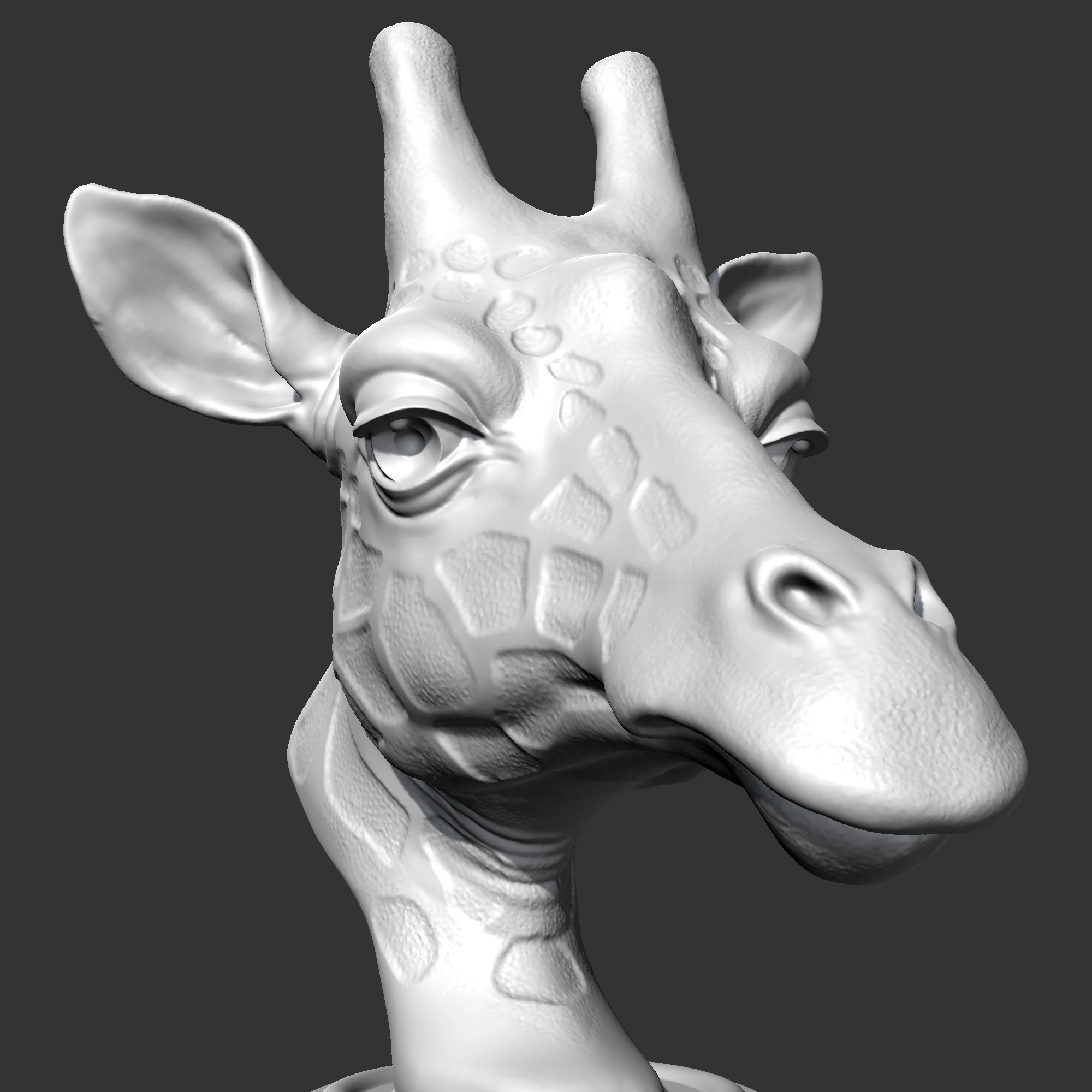 Giraffe Head AM13 3D print model 3D Print Model .c4d .max .obj .3ds .fbx .stl .blend 