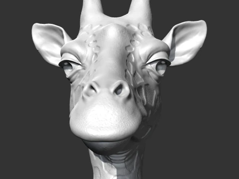 Giraffe Head AM13 3D print model 3D Print Model