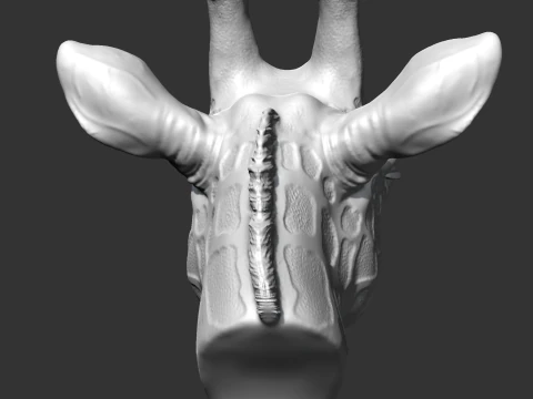 Giraffe Head AM13 3D print model 3D Print Model