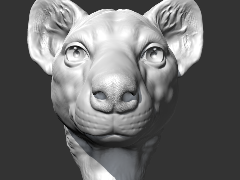 Hyena Head AM14 3D print model Modelo de Impressão 3D