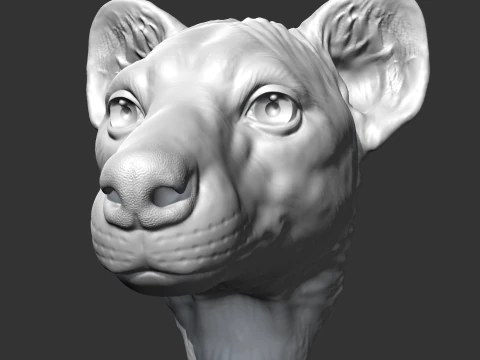 Hyena Head AM14 3D print model 3D Print Model