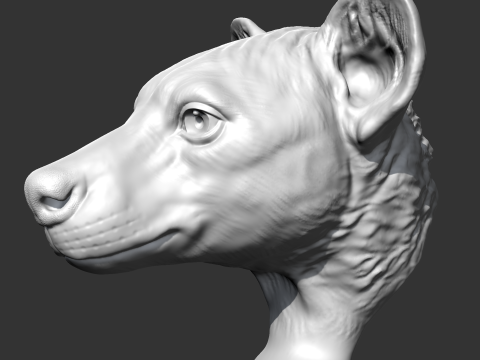 Hyena Head AM14 3D print model 3D Print Model