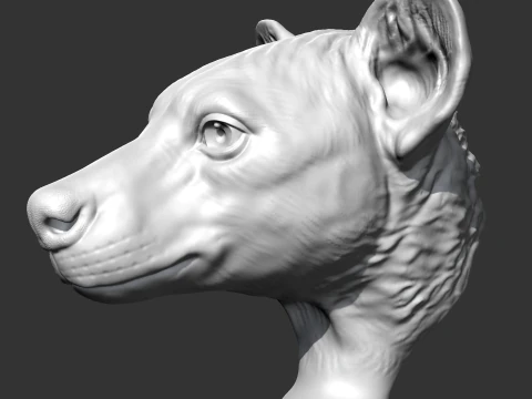 Hyena Head AM14 3D print model 3D Print Model