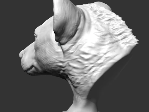 Hyena Head AM14 3D print model 3D Print Model