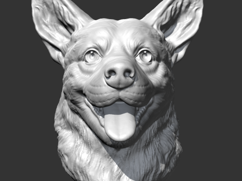 Welsh Corgi AM15 3D print model 3D 프린트 모델