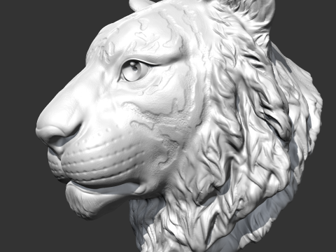 Tiger Head AM16 3D print model 3D प्रिंट मॉडल