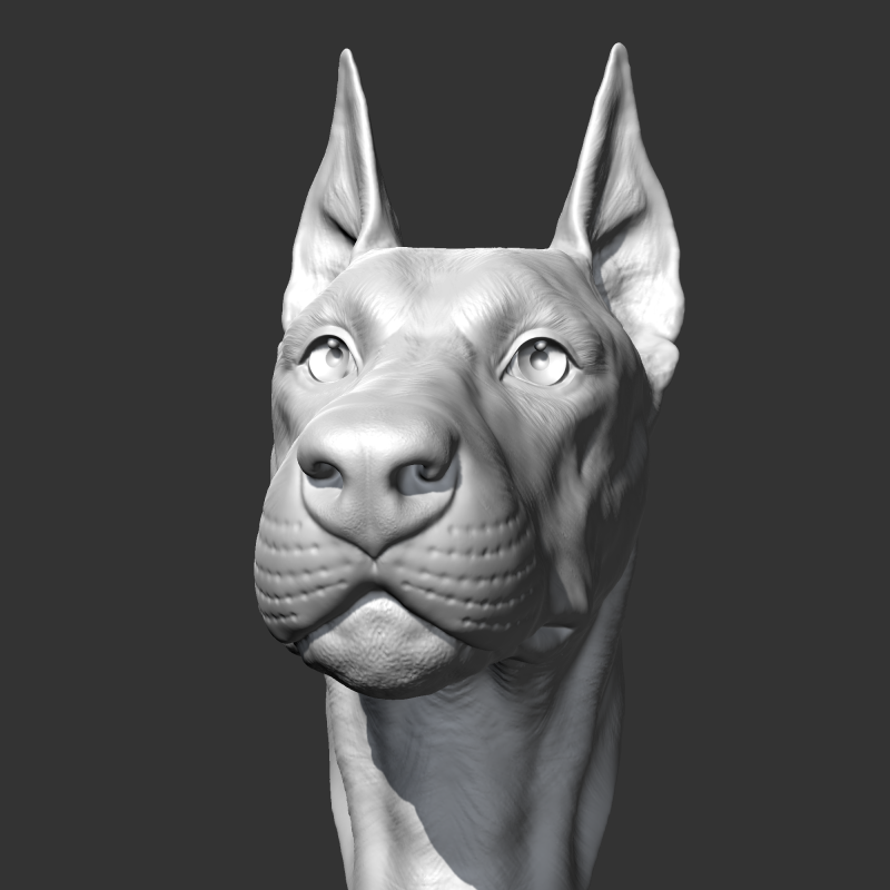 Doberman Head AM17 3D print model Modelo de Impressão 3D .c4d .max .obj .3ds .fbx .stl .blend