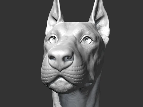 Doberman Kafası AM17 3D baskı modeli 3D Baskı Modeli