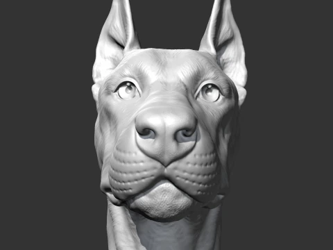 Doberman Head AM17 3D print model 3D Print Model