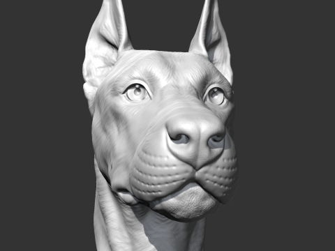 Doberman Head AM17 3D print model Modelo de Impressão 3D