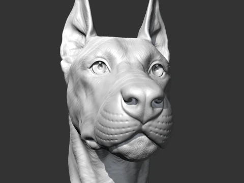 Doberman Head AM17 3D print model 3D Print Model