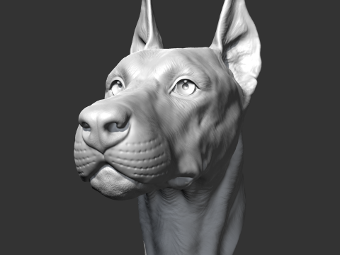 Doberman Head AM17 3D print model Modelo de Impressão 3D