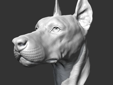 Doberman Head AM17 3D print model 3D Print Model