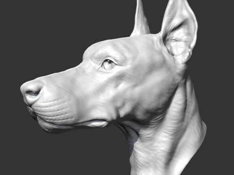 Doberman Head AM17 3D print model Modelo de Impressão 3D