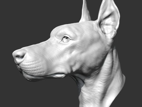 Doberman Head AM17 3D print model 3D Print Model
