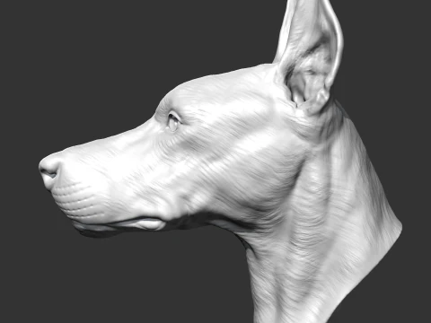 Doberman Head AM17 3D print model 3D Print Model