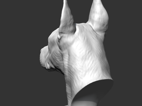 Doberman Head AM17 3D print model Modelo de Impressão 3D