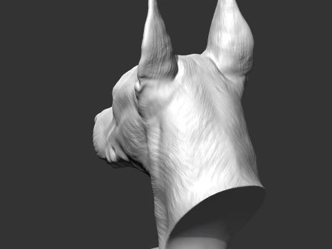 Doberman Head AM17 3D print model 3D Print Model