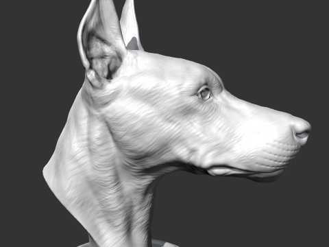 Doberman Head AM17 3D print model Modelo de Impressão 3D