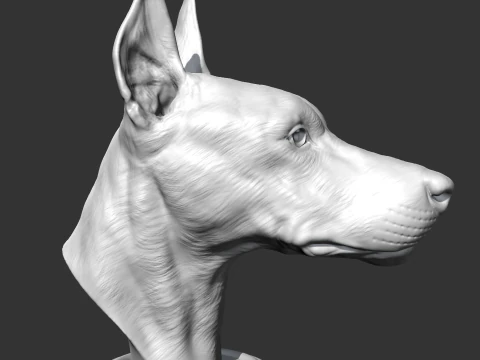 Doberman Head AM17 3D print model 3D Print Model