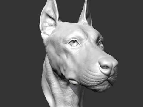Doberman Head AM17 3D print model Modelo de Impressão 3D