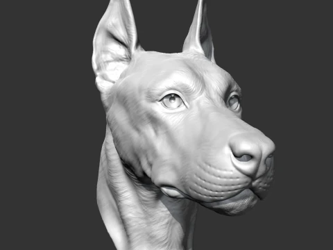 Doberman Head AM17 3D print model 3D Print Model